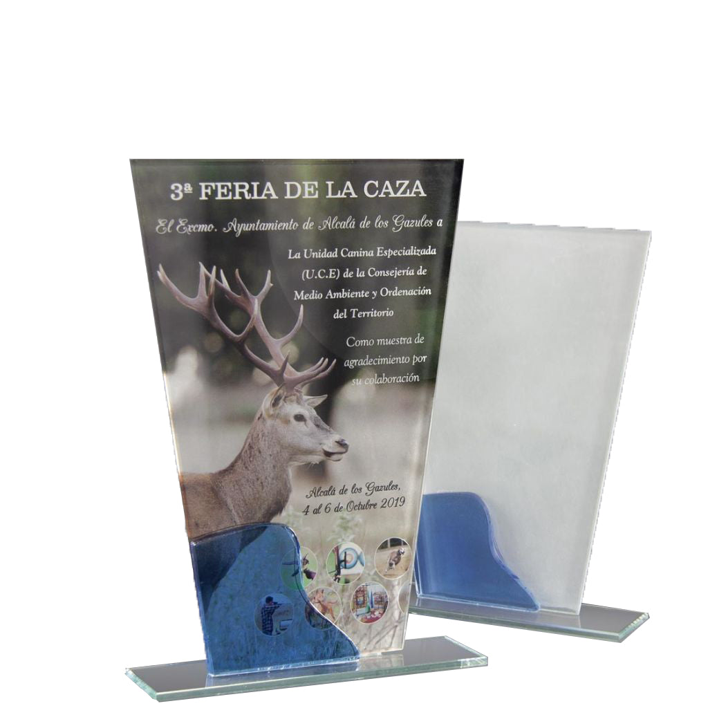 Placa Conmemorativa de Cristal Rectangular