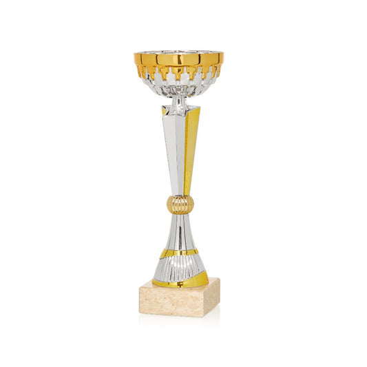 Copa deportiva Plata y Oro